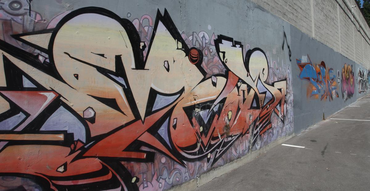 200708 grafitno mesto zunanji zid na streliscu nrovan 006